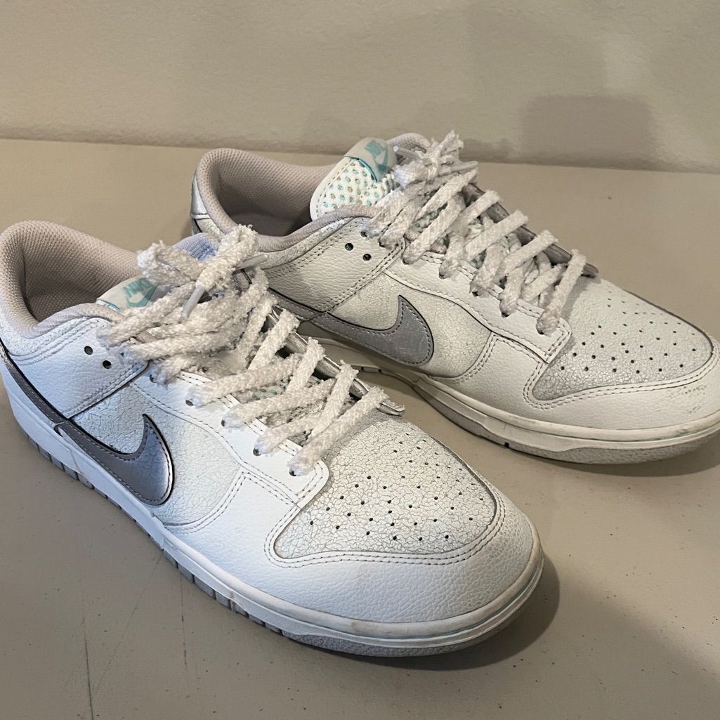 Nike Dunk Low Se Winter Storm White Metallic Silver Hq3619-121 Men's Size 10.5